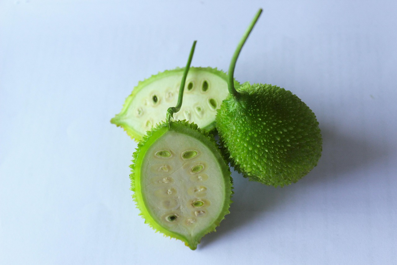 spiny-gourd-6548621_1280