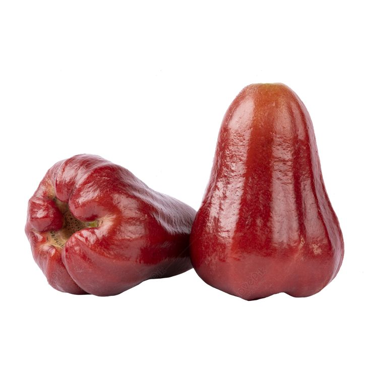 Java Apple (Wax Apple)