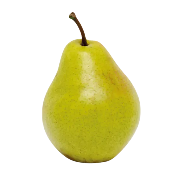 Nashi Pear