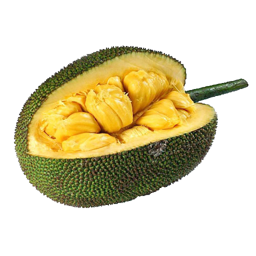 jackfruit_PNG23
